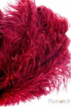 Struisvogel - 30-40 cm - grijs natuurlijk-rood